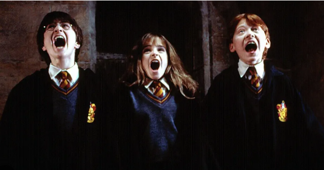Harry Potter1.png